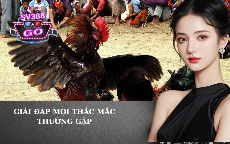 Giải đáp mọi thắc mắc thường gặp