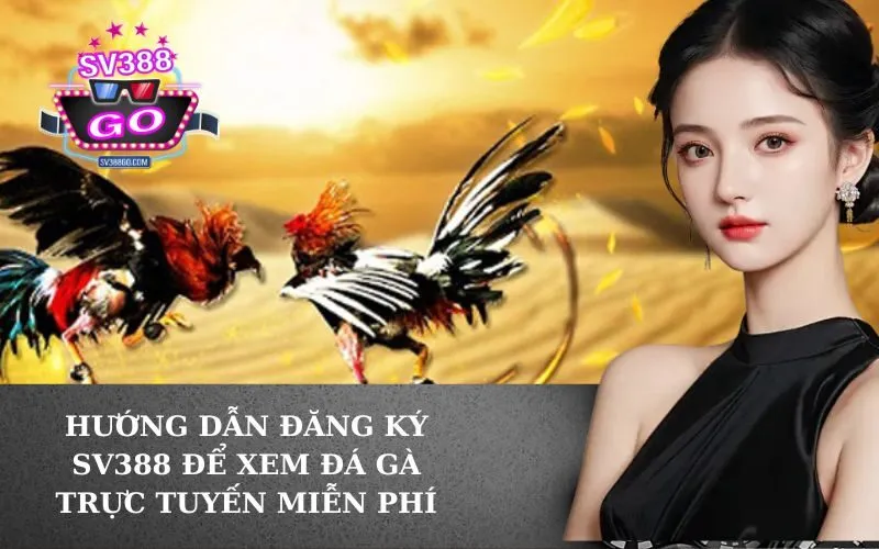 Hướng Dẫn Đăng Ký SV388 Để Xem Đá Gà Trực Tuyến Miễn Phí